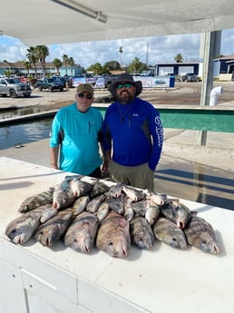 Black Drum, Speckled Trout / Spotted Seatrout fishing in Corpus Christi, Texas