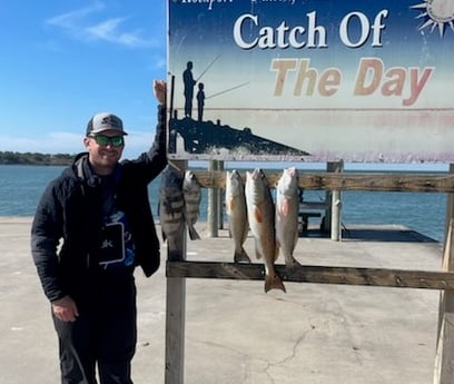 Black Drum, Redfish Fishing in Rockport, Texas