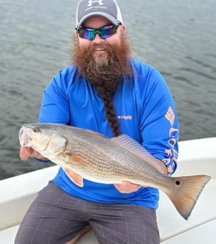 Redfish Fishing in Beaufort, North Carolina