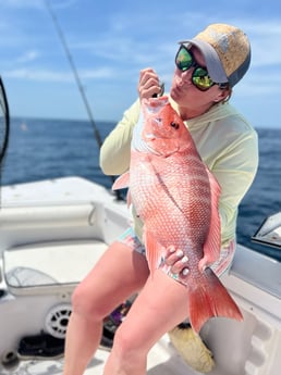 Black Seabass fishing in Mount Pleasant, South Carolina