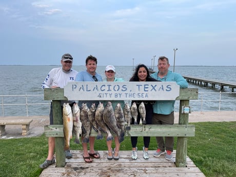Black Drum, Redfish Fishing in Palacios, Texas