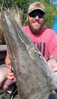 Alligator Gar fishing in Livingston, Texas