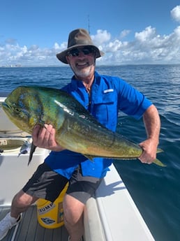 Mahi Mahi / Dorado fishing in Destin, Florida