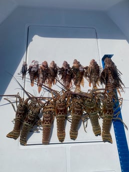 Fishing in Key West, Florida