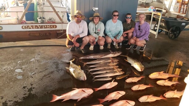 Jack Crevalle, King Mackerel / Kingfish, Red Snapper fishing in Galveston, Texas