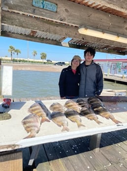 Sheepshead fishing in Galveston, Texas