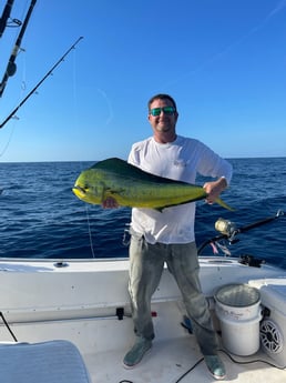 Mahi Mahi / Dorado Fishing in Santa Rosa Beach, Florida