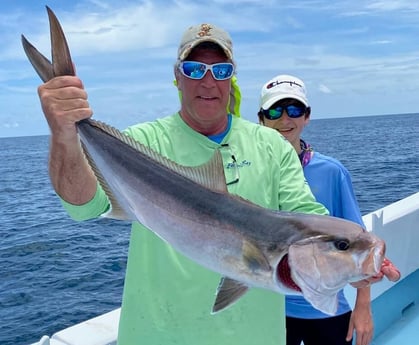 Amberjack fishing in Destin, Florida