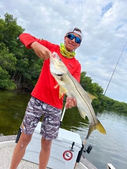 Snook fishing in Holmes Beach, Florida