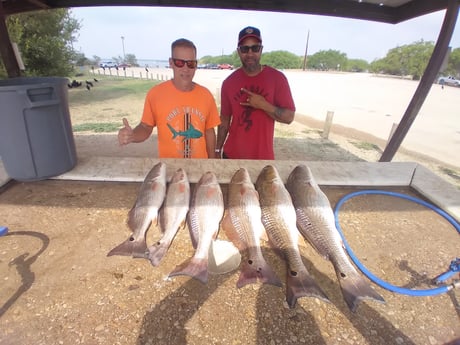 Redfish fishing in San Antonio, Texas