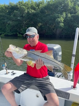 Snook Fishing in Tampa, Florida