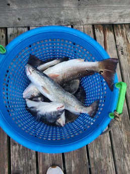 Fishing in Corpus Christi, Texas