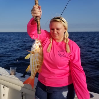 Lane Snapper fishing in Destin, Florida