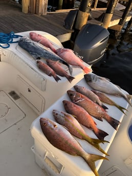 Fishing in Fort Myers, Florida