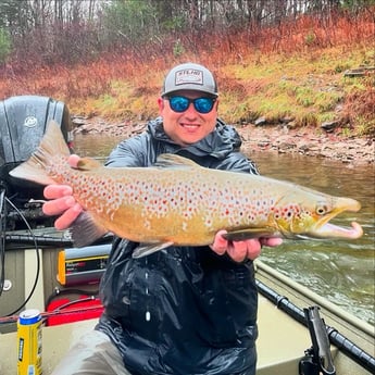 Brown Trout Fishing in Big Rapids, Michigan