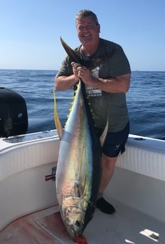 Yellowfin Tuna Fishing in Destin, Florida