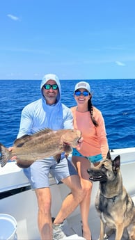 Black Grouper Fishing in Key Largo, Florida