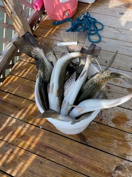 Speckled Trout Fishing in Corpus Christi, Texas