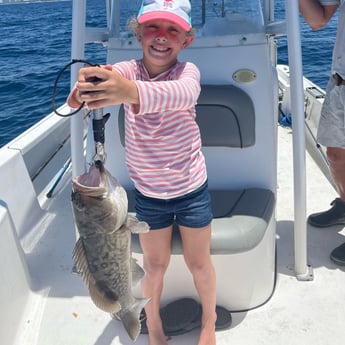 Gag Grouper fishing in Panama City, Florida