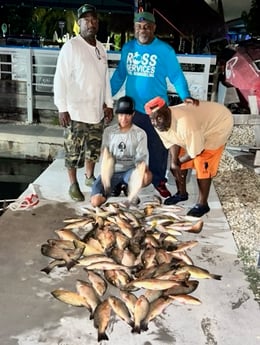 Mangrove Snapper, Yellowtail Snapper fishing in Key Largo, Florida