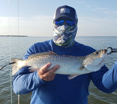 Speckled Trout / Spotted Seatrout fishing in New Smyrna Beach, Florida