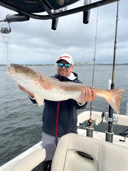 Fishing in Panama City, Florida