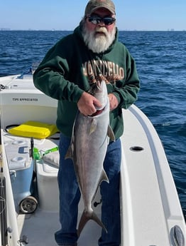 Amberjack Fishing in Panama City, Florida