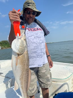 Redfish fishing in Galveston, Texas