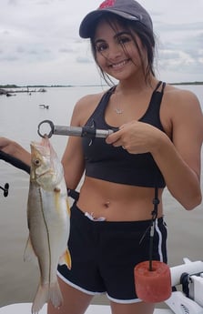 Snook fishing in Matagorda, Texas