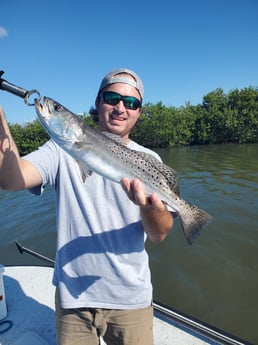 Speckled Trout / Spotted Seatrout fishing in New Smyrna Beach, Florida