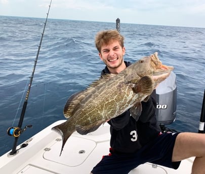 Black Grouper Fishing in Key Largo, Florida