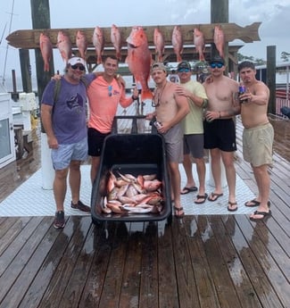 Red Snapper, Scup Fishing in Orange Beach, Alabama