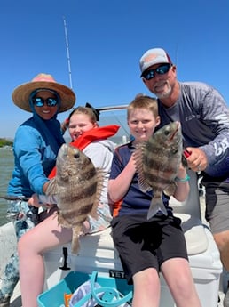 Black Drum, Redfish, Sheepshead, Speckled Trout / Spotted Seatrout fishing in Surfside Beach, Texas