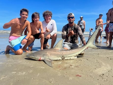 Bull Shark Fishing in Corpus Christi, Texas