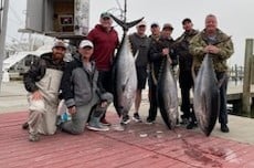 Yellowfin Tuna Fishing in Destin, Florida