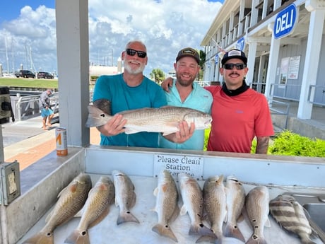 Redfish, Sheepshead fishing in Galveston, Texas