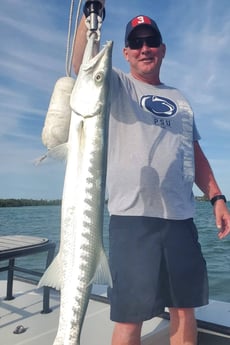 Barracuda fishing in Cudjoe Key, Florida