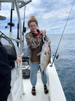 Sheepshead fishing in Pensacola, Florida