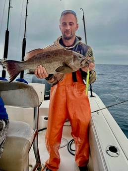 Scamp Grouper Fishing in Pensacola, Florida