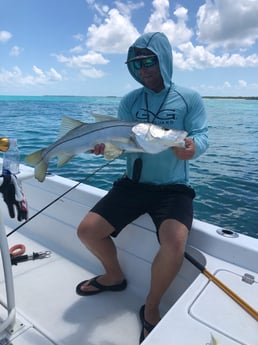 Snook fishing in Key West, Florida