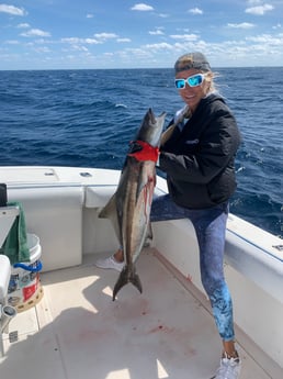 Cobia Fishing in Palm Beach, Florida