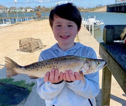 Speckled Trout / Spotted Seatrout fishing in Galveston, Texas