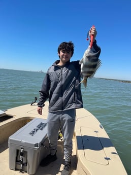 Sheepshead fishing in Galveston, Texas