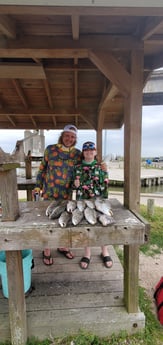 Speckled Trout / Spotted Seatrout fishing in Galveston, Texas