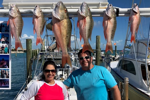 Mutton Snapper fishing in Islamorada, Florida