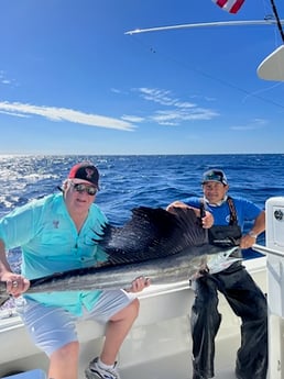 Sailfish Fishing in Islamorada, Florida