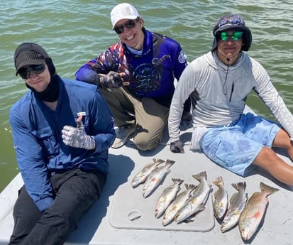 Redfish, Speckled Trout / Spotted Seatrout fishing in Galveston, Texas