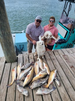 Black Drum, Redfish Fishing in Port O&#039;Connor, Texas