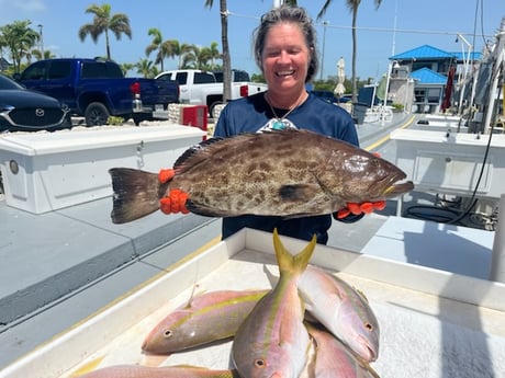 Black Grouper, Yellowtail Snapper fishing in Islamorada, Florida