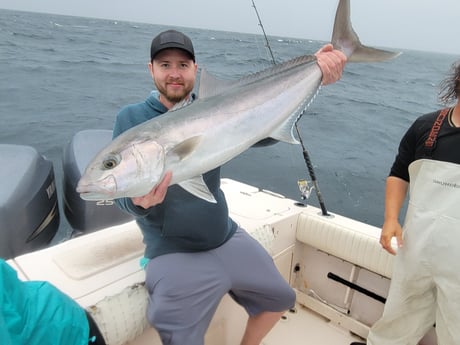 Amberjack fishing in Clearwater, Florida